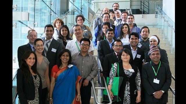 Professional Fellows 2011.