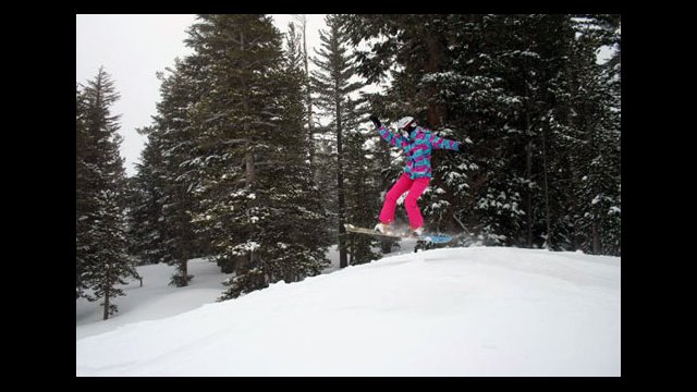 Sports Visitor Nika catches some air in the park.