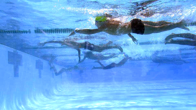 The Tunisian swimmers take part in a competition with their American peers.