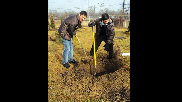 Youth Ambassadors plant trees as one of their community service activities.