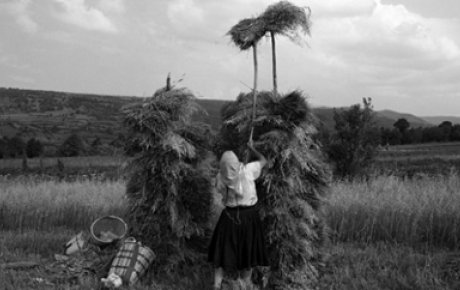 Woman throwing hay on top of a pile of hay