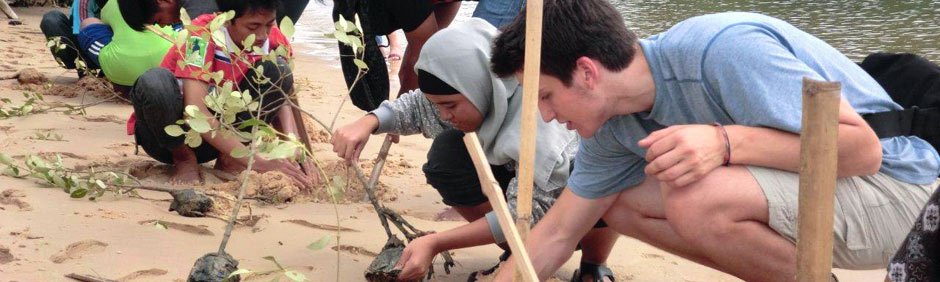 Justin, of Connecticut, plants mangroves with Indonesian students.