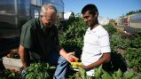 Older man handing younger man some harvested produce