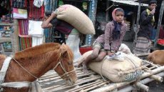 Market scene in Kurigram, North Bengal