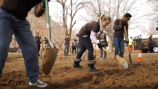 2017 CCI Volunteers Help to Revive Historic Orchard 2017 CCI Volunteers Help to Revive Historic Orchard